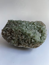 Load image into Gallery viewer, Apophylite Cluster, Large
