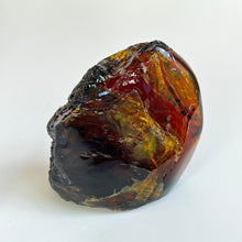 Load image into Gallery viewer, Amber Specimen
