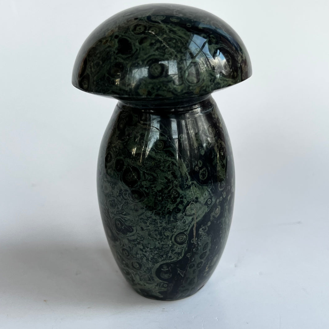 Kambaba Jasper Mushroom