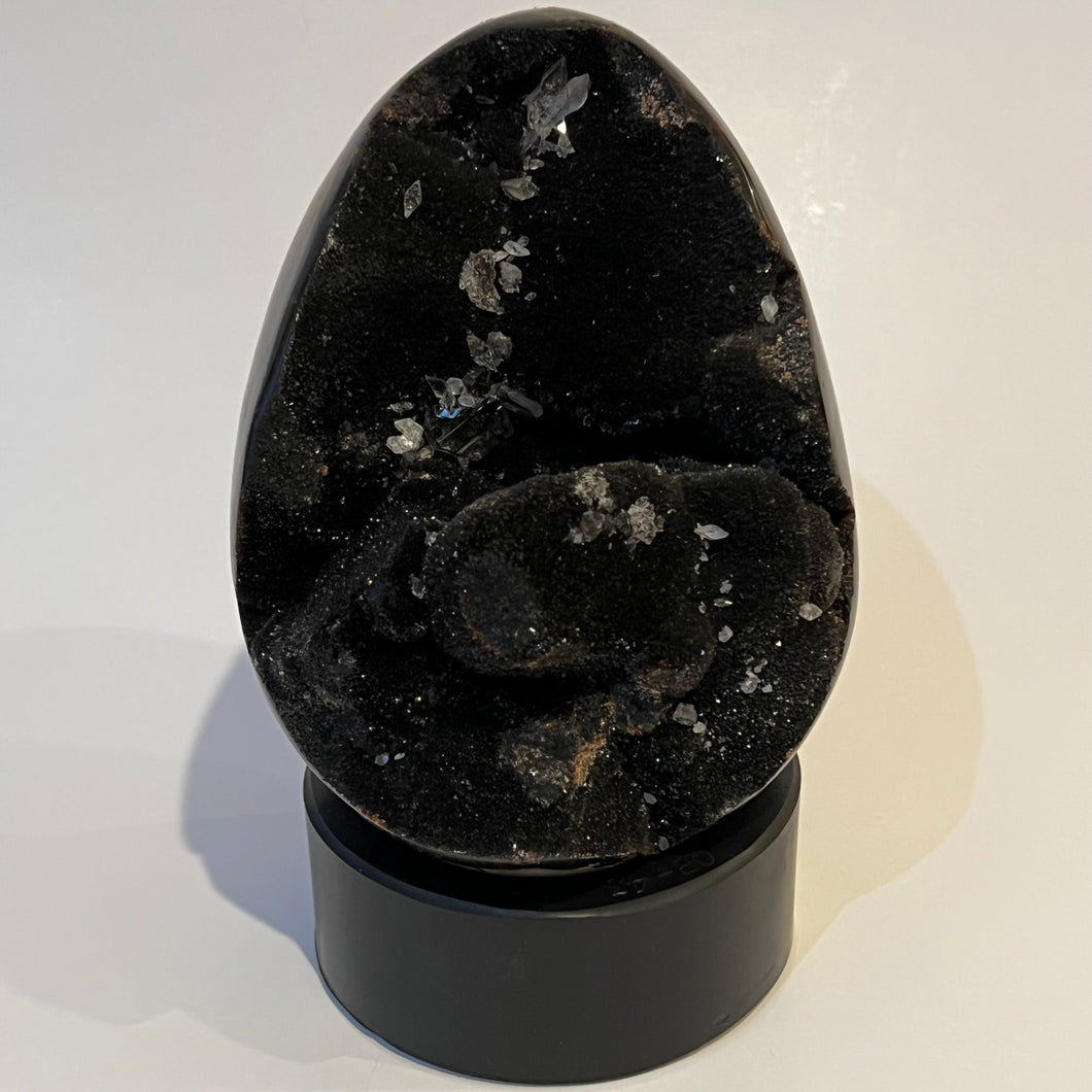 Large Septarian Dragon's Egg