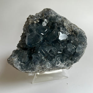 Celestite Geode