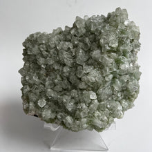 Load image into Gallery viewer, Apophylite Cluster
