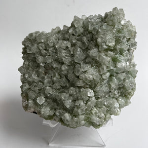 Apophylite Cluster