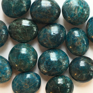 Blue Apatite Palm Stones