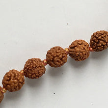 Load image into Gallery viewer, Rudrashka Seed Mala - 108 Beads
